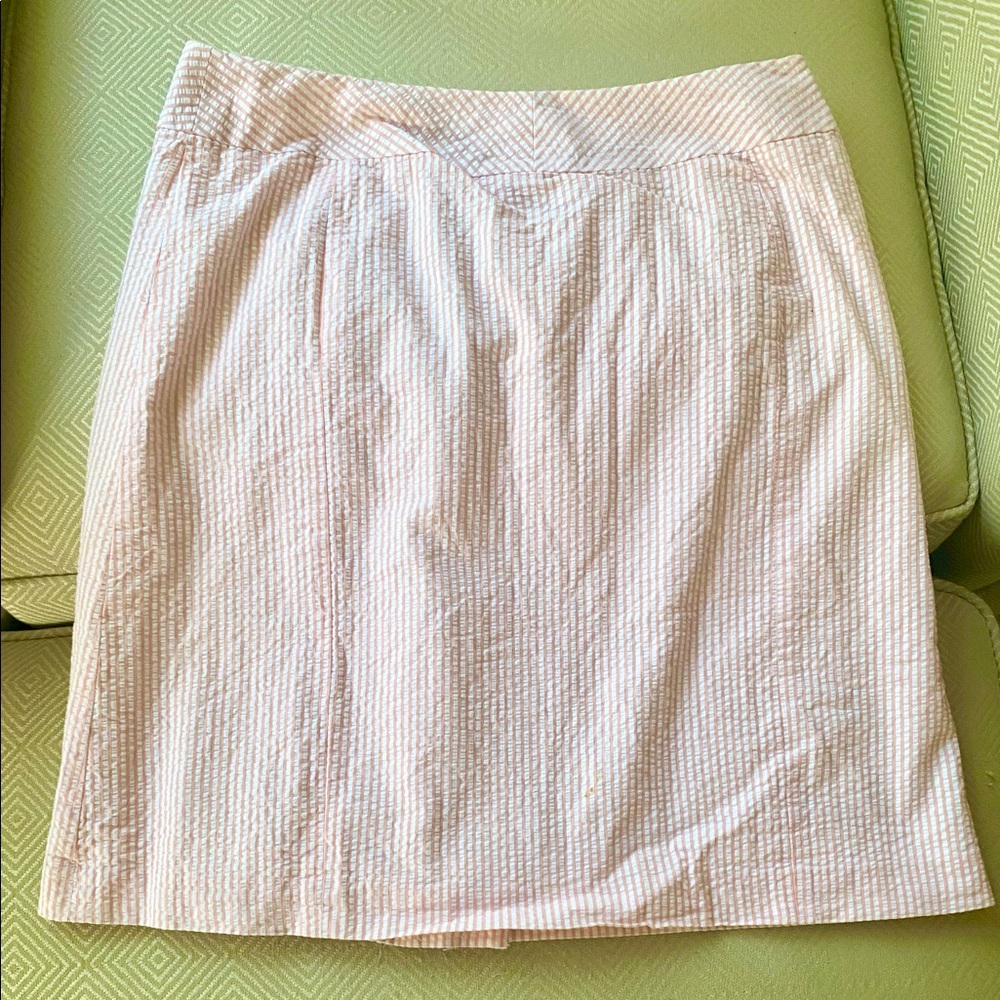 Petite Sophisticate Pink and white Searsucker shirt